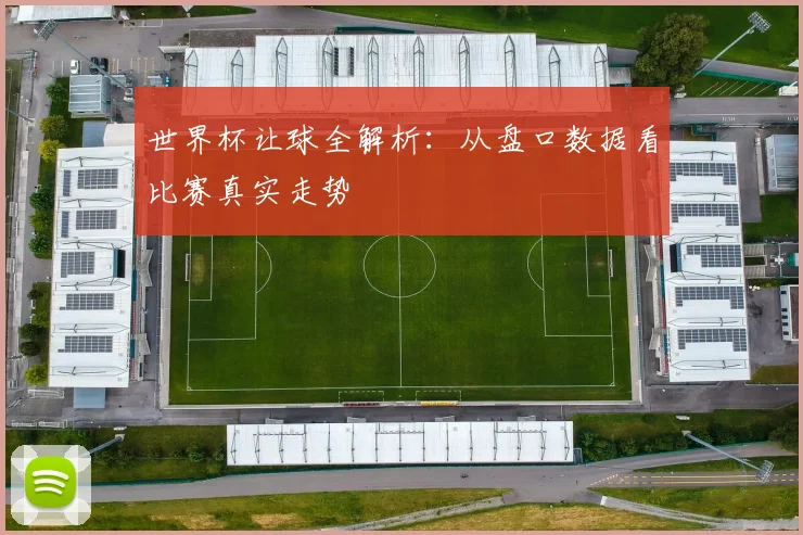 世界杯让球全解析：从盘口数据看比赛真实走势