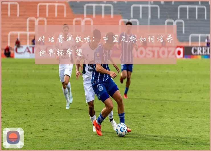 对话青训教练：中国足球如何培养世界杯希望